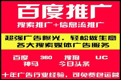 SEM广告投放的技巧与策略——成功案例分享
